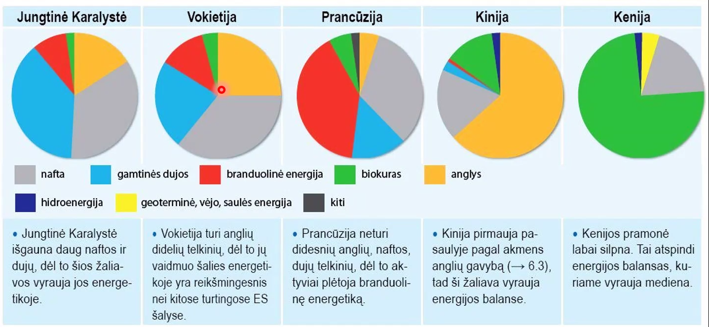 Skirtingų šalių energijos naudojimo tendencijos